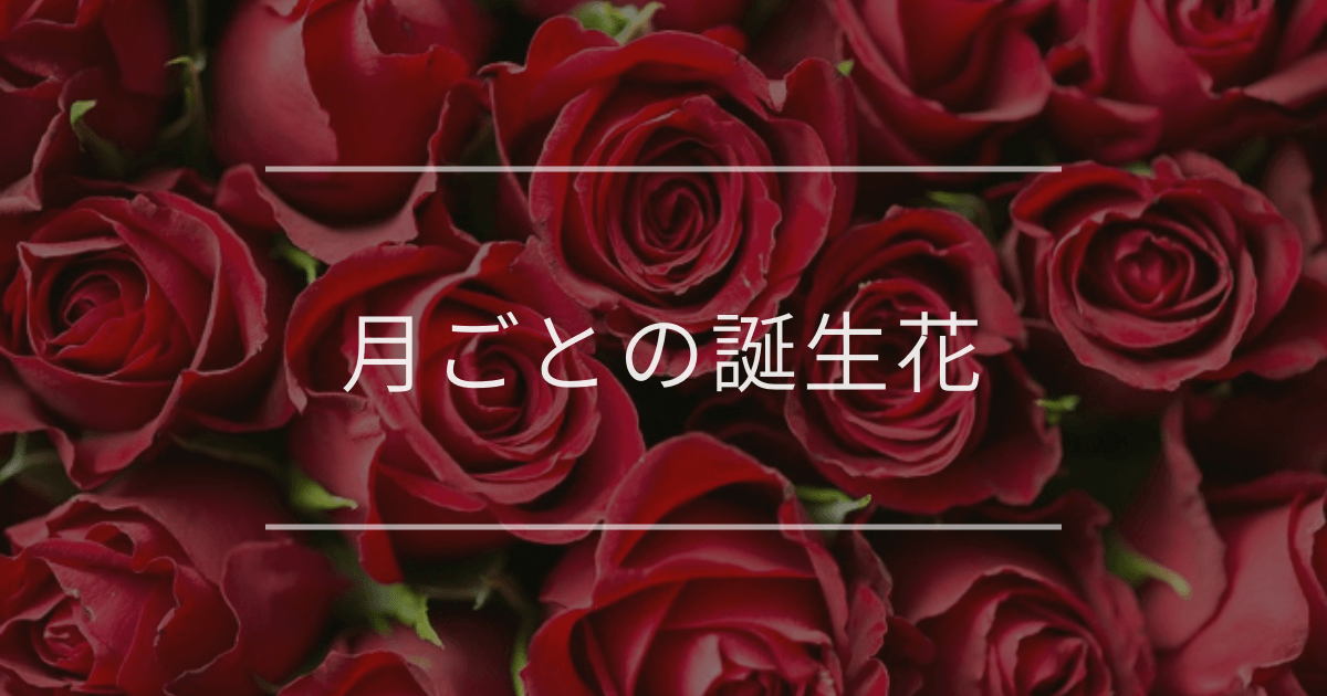 月ごとの誕生花