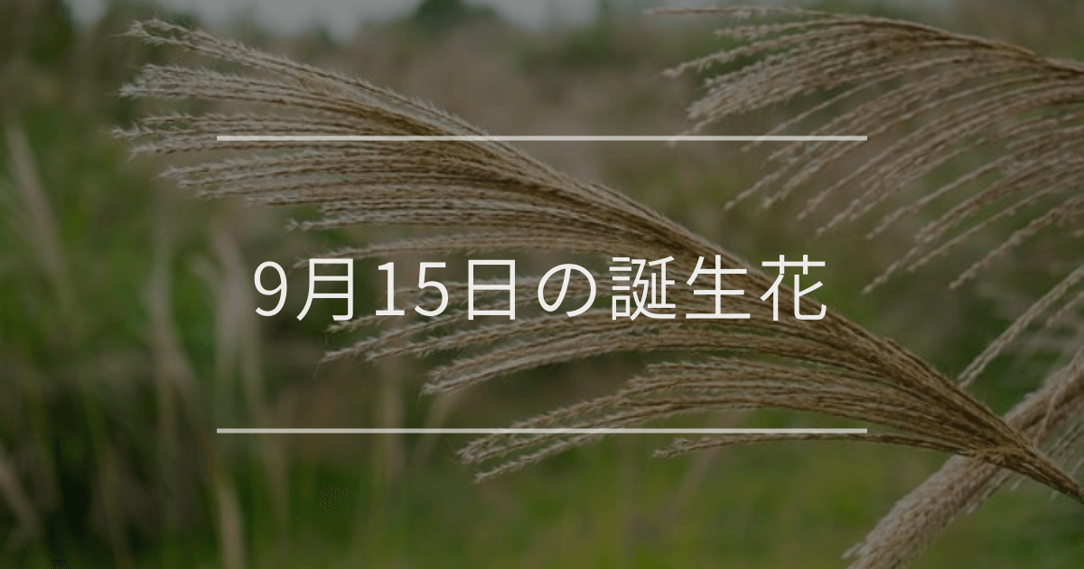 9月15日の誕生花