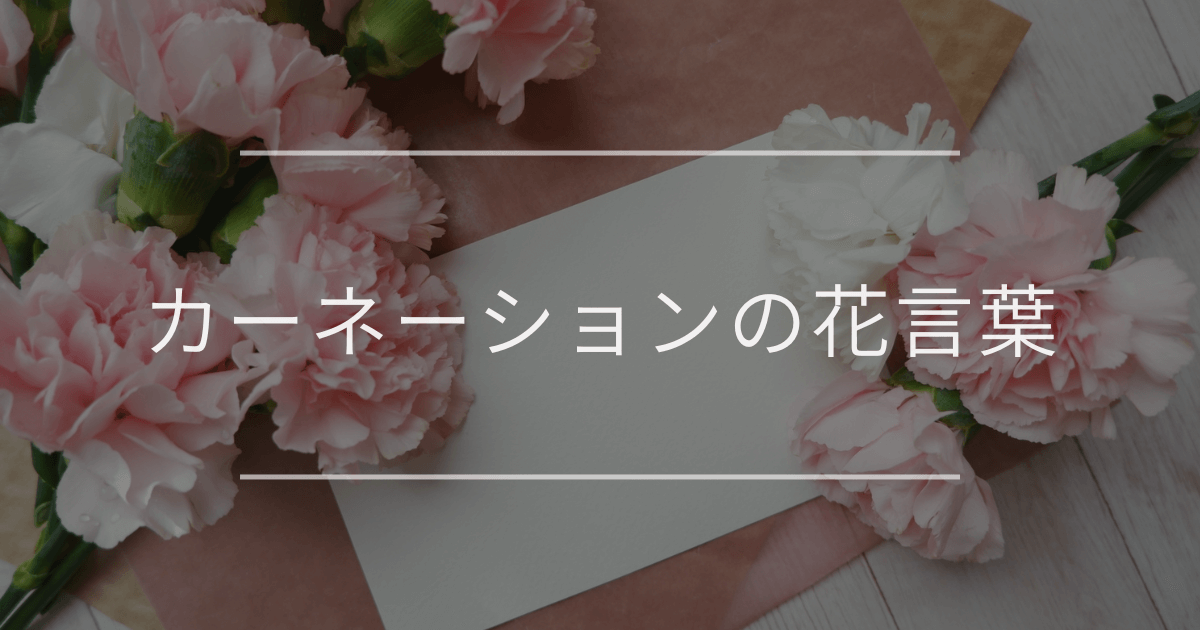 カーネーションの花言葉｜母の日や彼女へのプレゼントに添えて贈りたい花言葉と由来