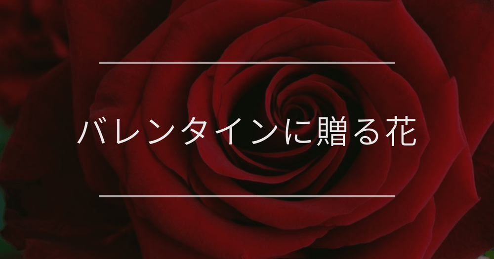 2026年フラワーバレンタインにあう花｜おすすめや花言葉