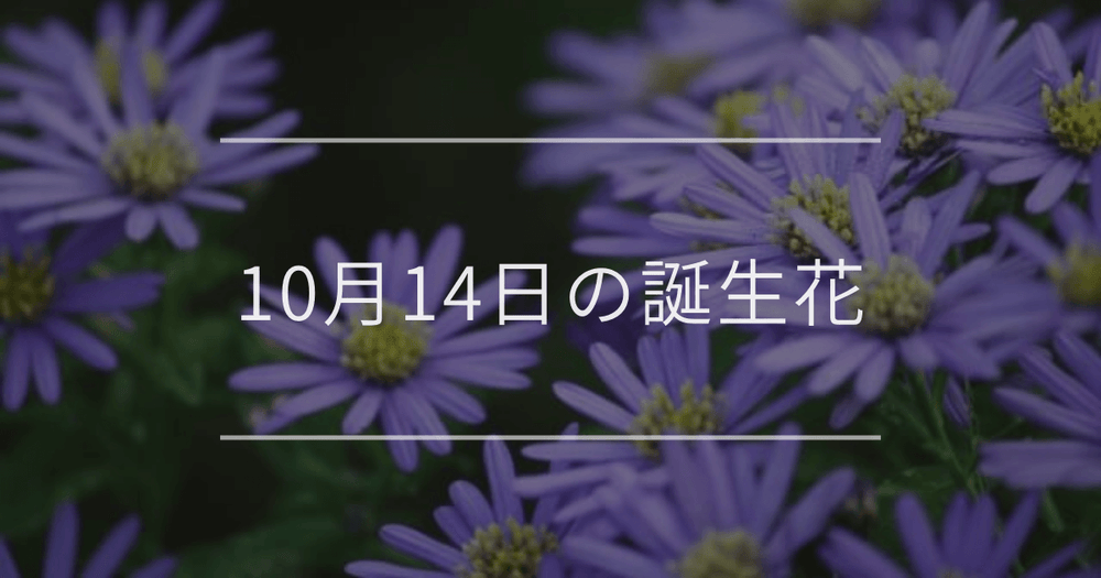 10月14日の誕生花：ユウゼンギク・カトレアの花言葉など