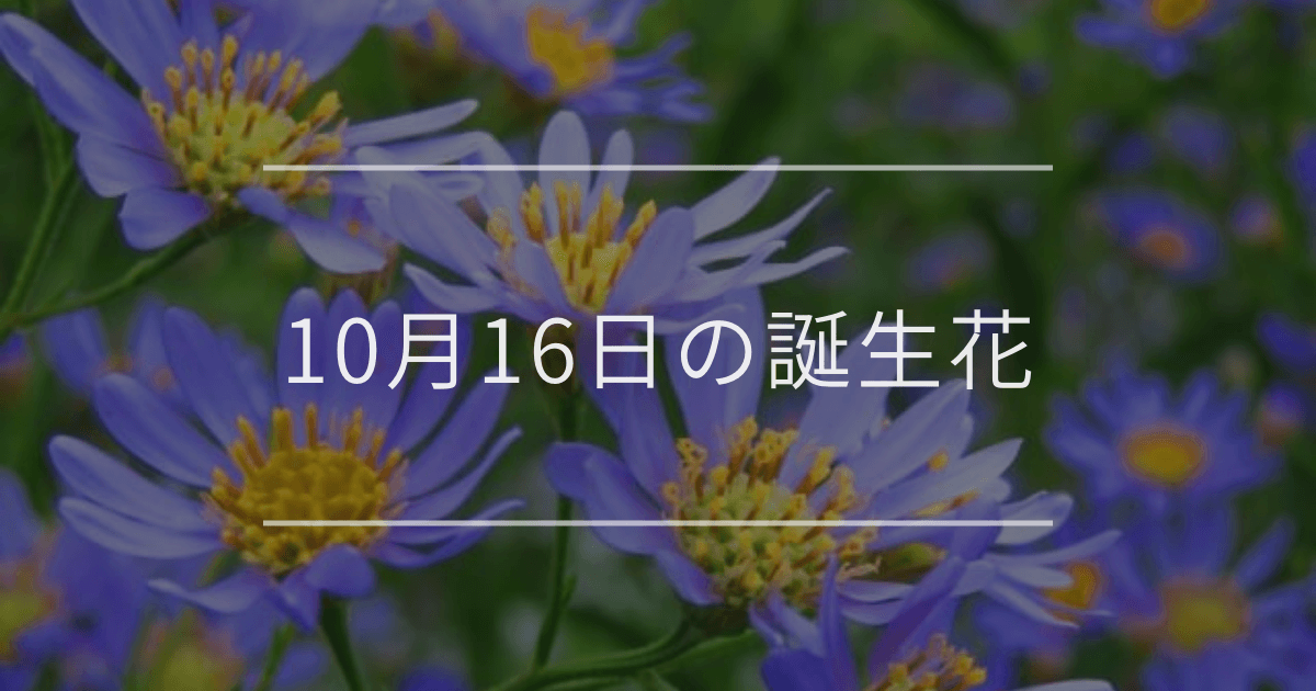 10月16日の誕生花