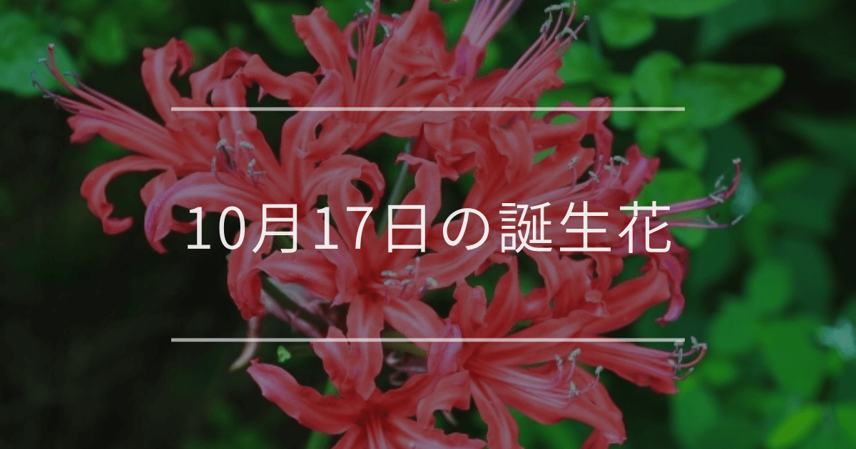 10月17日の誕生花