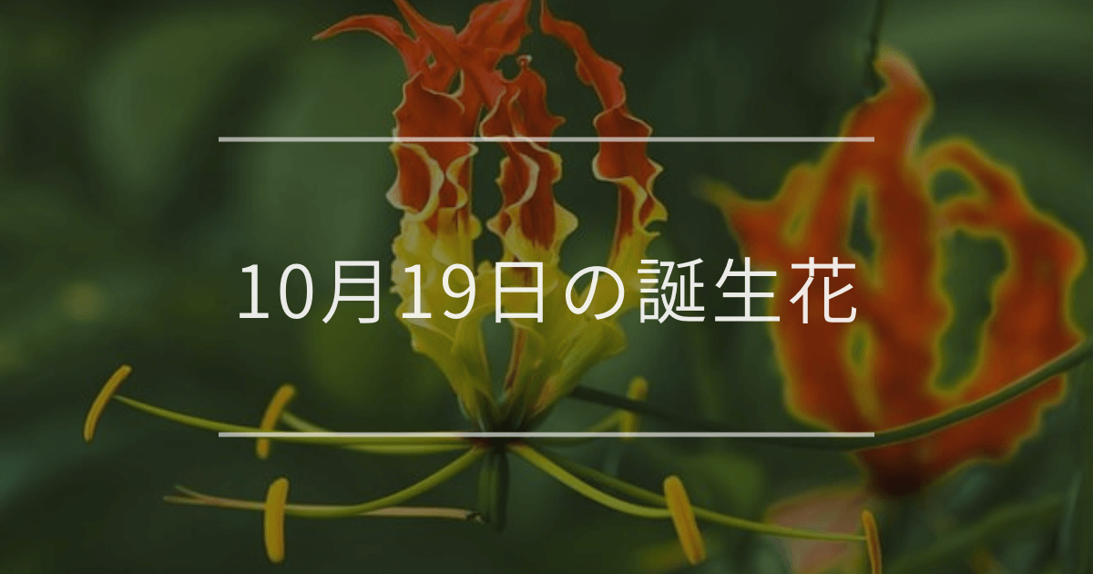 10月19日の誕生花