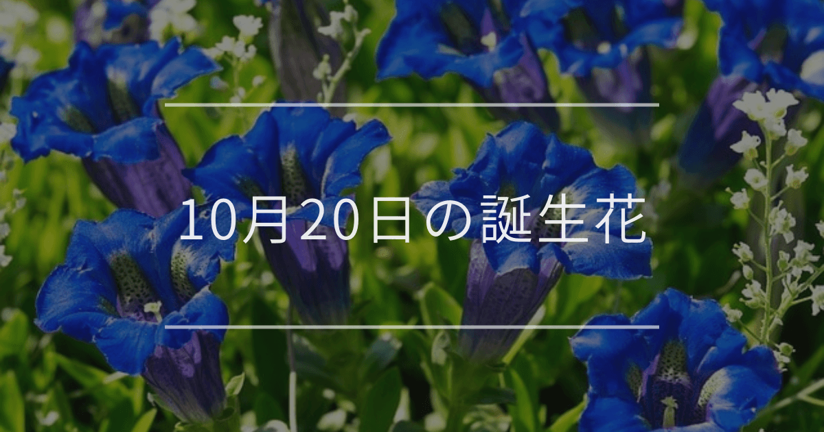 10月20日の誕生花