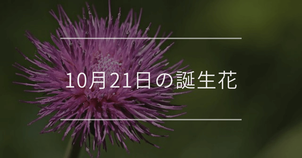 10月21日の誕生花