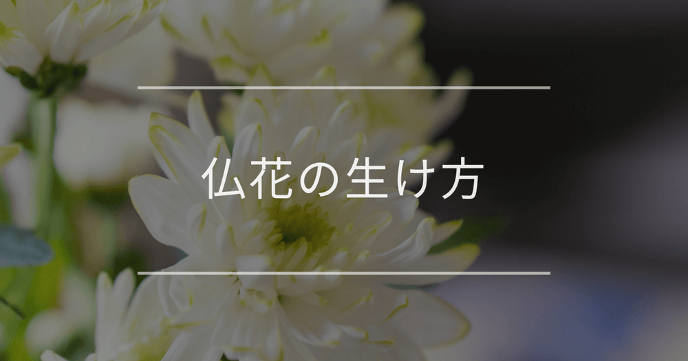 仏花の生け方｜生け方の手順やお花の種類を詳しく解説
