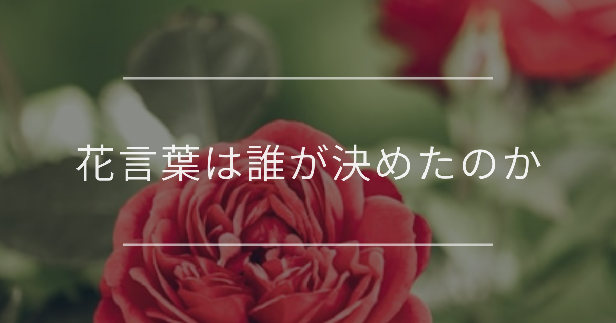 花言葉は誰が決めたのか｜歴史や由来と楽しみ方