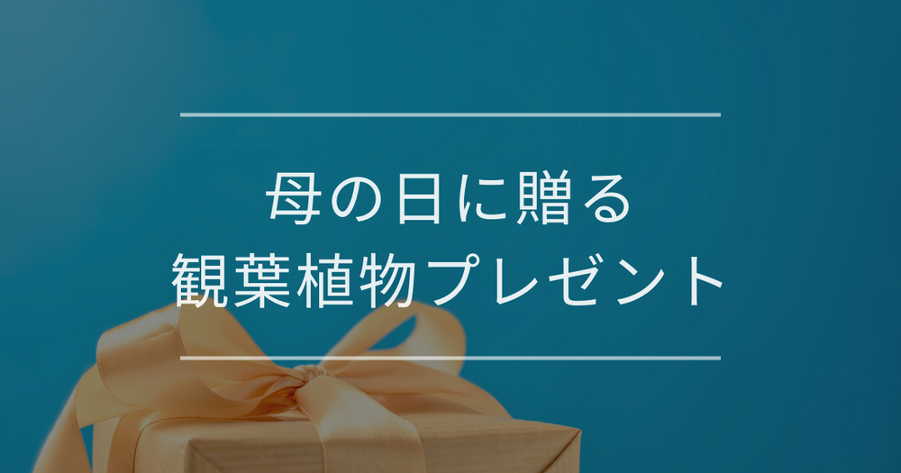 【2026年最新版】母の日に贈る観葉植物プレゼント｜失敗しない選び方も解説