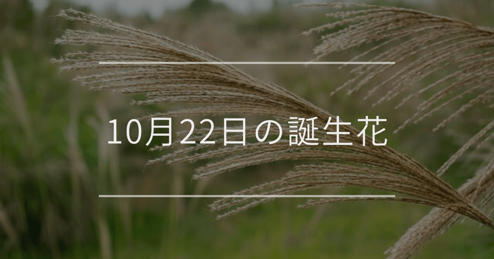 10月22日の誕生花：ススキ・ミニバラの誕生花など