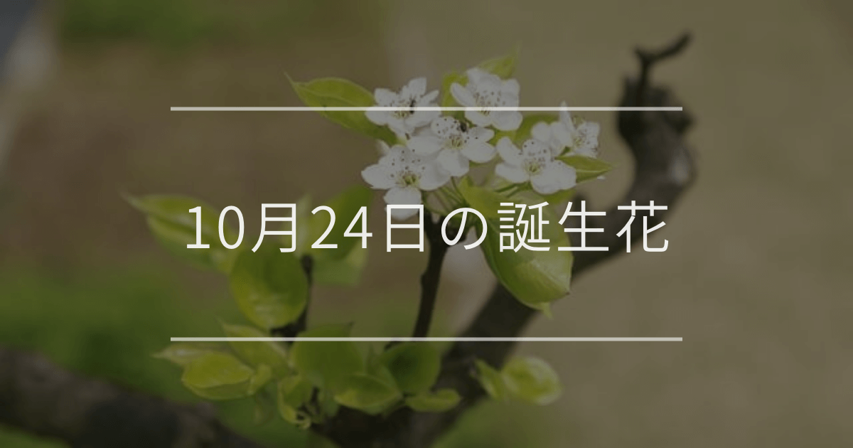 10月24日の誕生花：ウメ（梅）・アゲラタムの花言葉など
