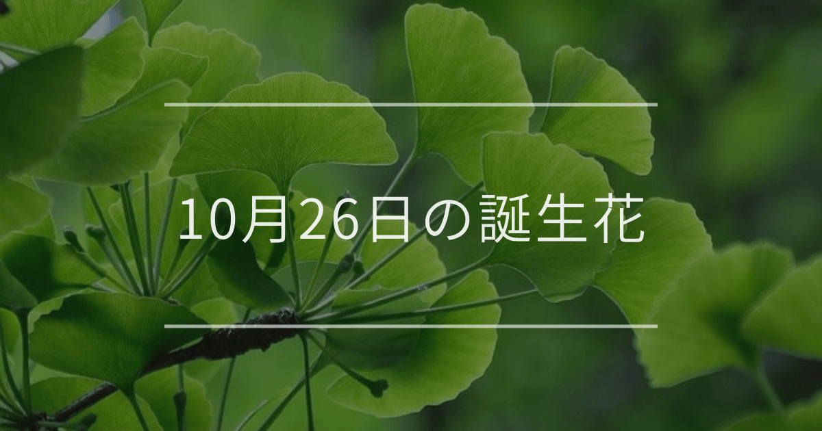 10月26日の誕生花