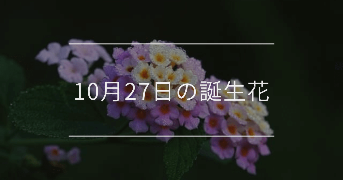 10月27日の誕生花