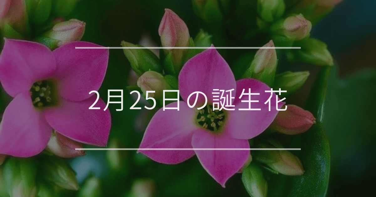 2月25日の誕生花