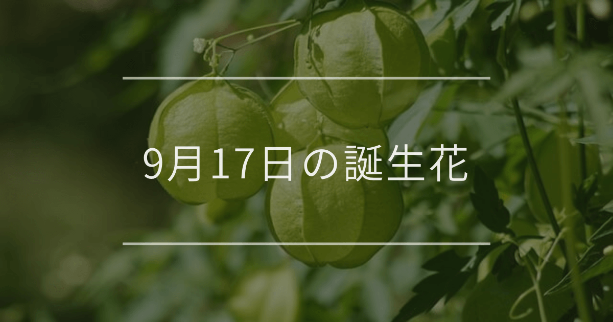 9月17日の誕生花