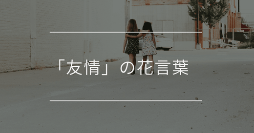 「友情」の花言葉