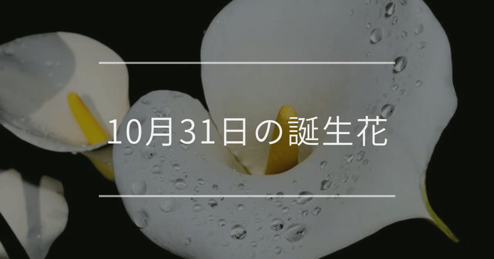 10月31日の誕生花：カラー・ヘリコニアの花言葉など