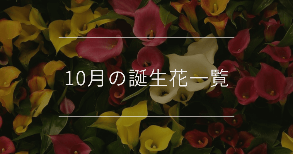 10月の誕生花一覧｜誕生月と誕生日の花言葉