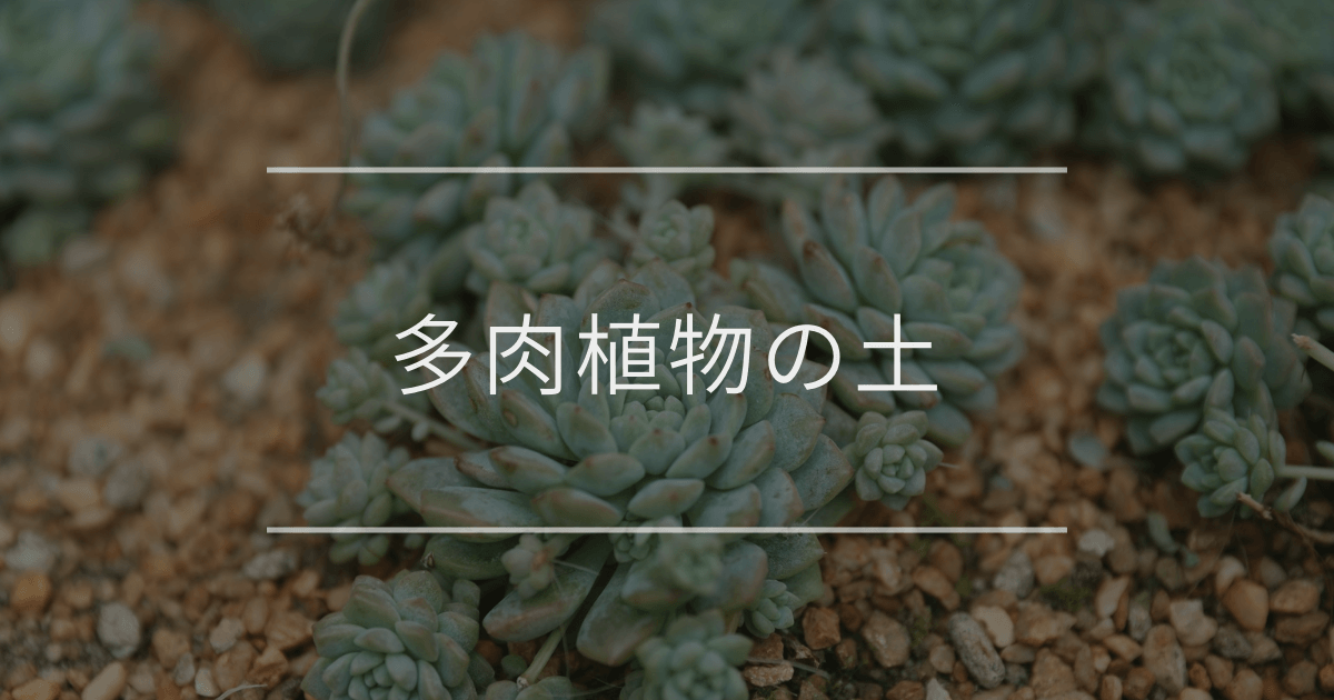 多肉植物の土