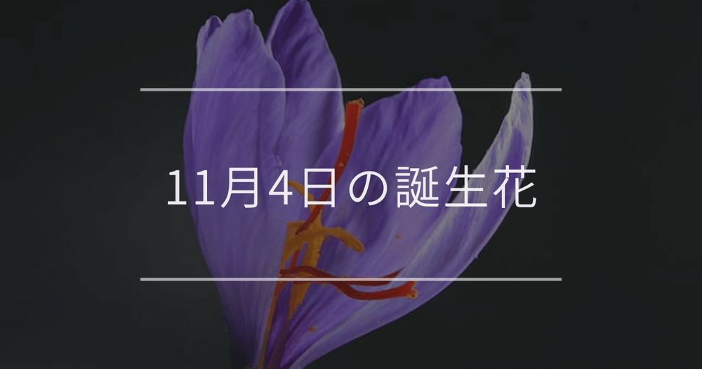11月4日の誕生花：サフラン・ムラサキシキブの花言葉など