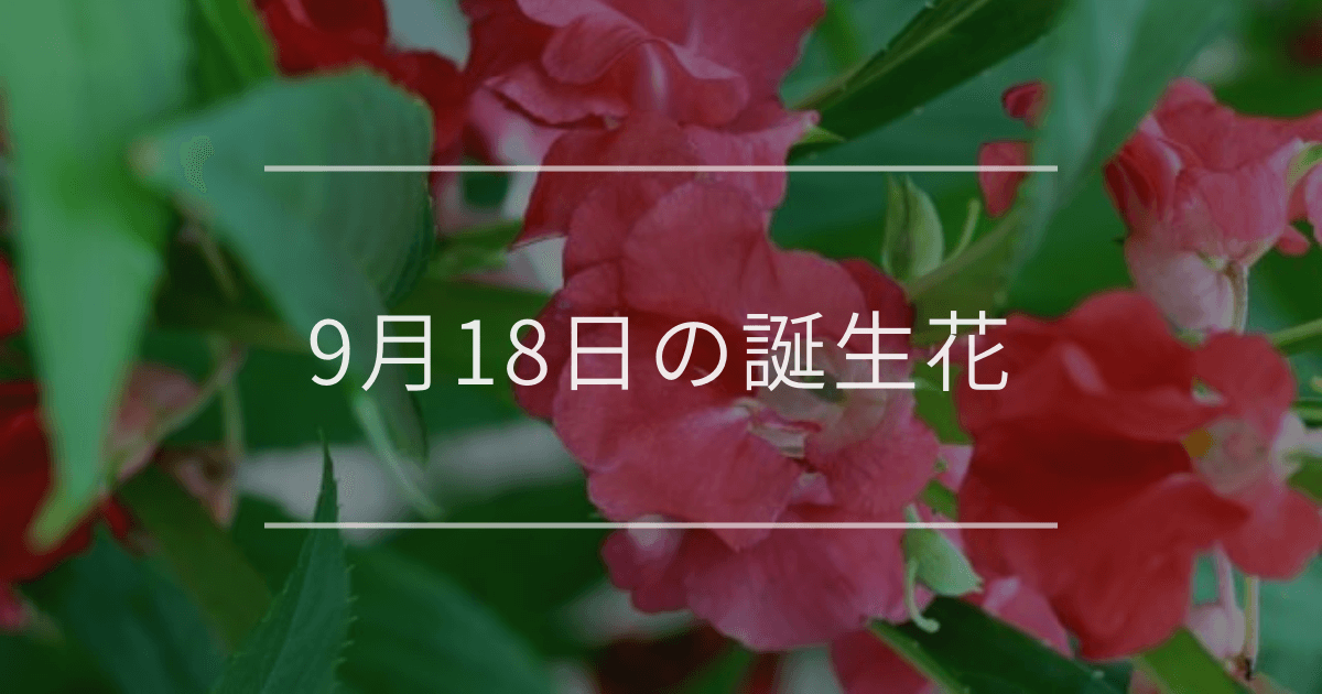 9月18日の誕生花