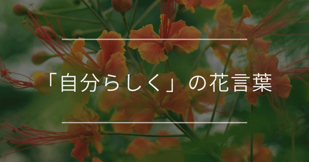 「自分らしく」の花言葉｜勇気と自信をくれるかっこいい花言葉
