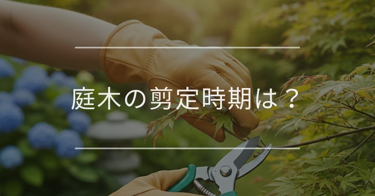 【保存版】庭木の剪定時期は？初心者も失敗しない基本やNG時期