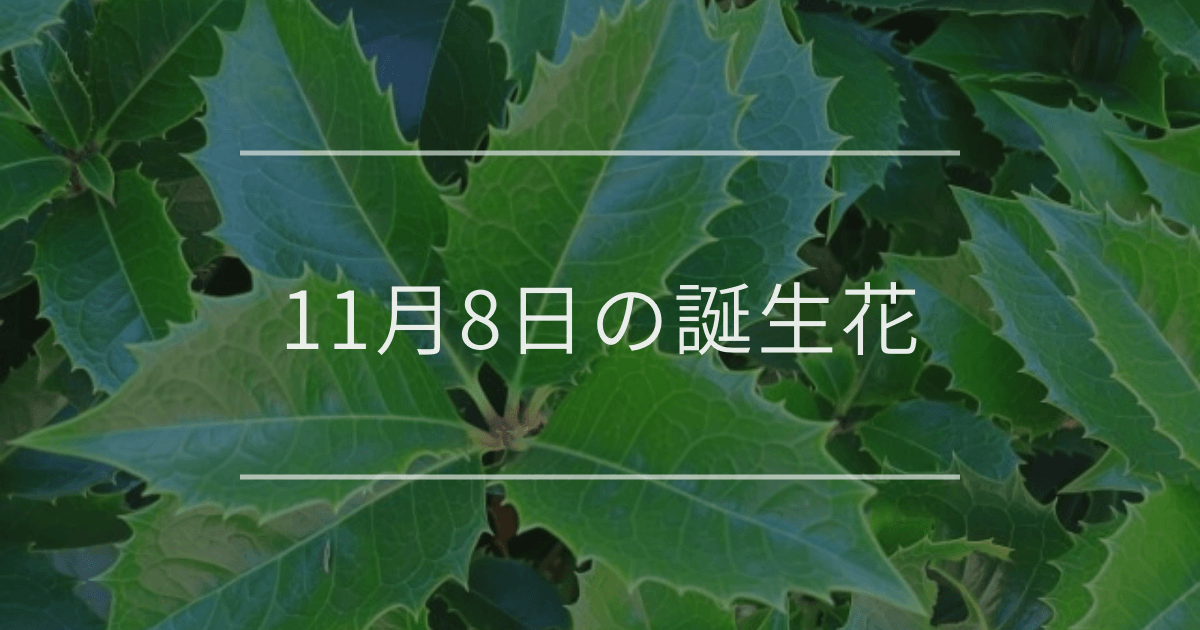 11月8日の誕生花