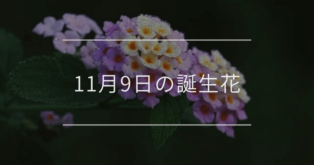 11月9日の誕生花：ランタナ・ハナキリンの花言葉など