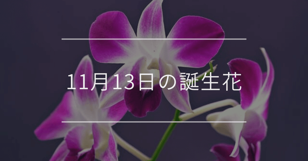11月13日の誕生花：デンドロビウム・ナナカマドの花言葉など