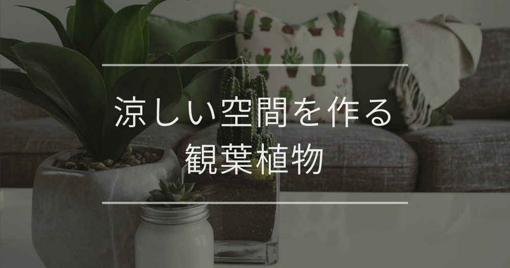 涼しい空間を作る観葉植物｜選び方やおすすめを紹介