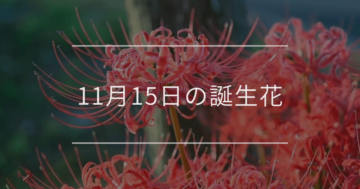 11月15日の誕生花