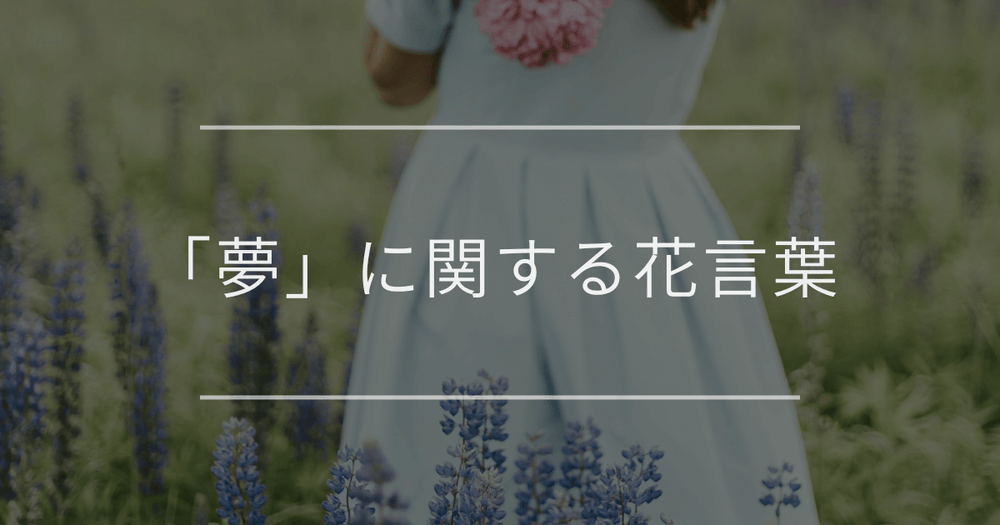 「夢」に関する花言葉｜幻想的な花言葉や、勇気をくれる花言葉一覧