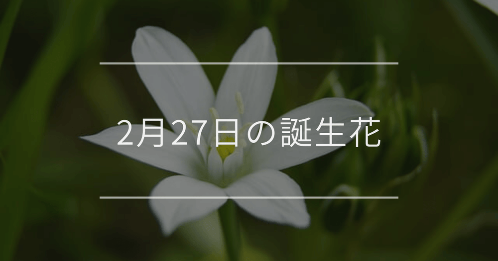 2月27日の誕生花：オーニソガラム・シラーの花言葉など
