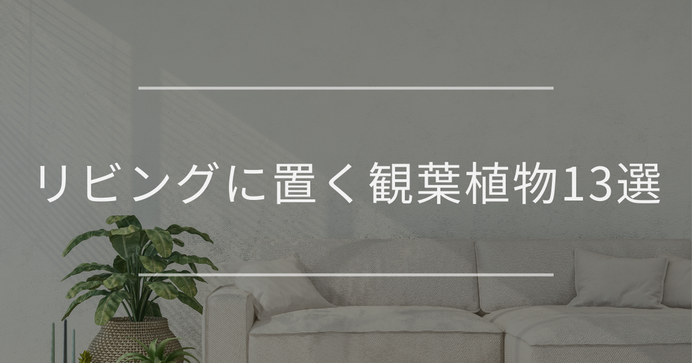 リビングに置く観葉植物13選｜飾り方・選び方も徹底解説