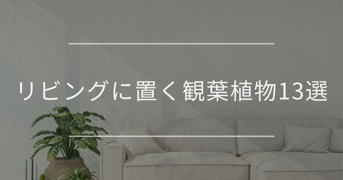 リビングに置く観葉植物13選