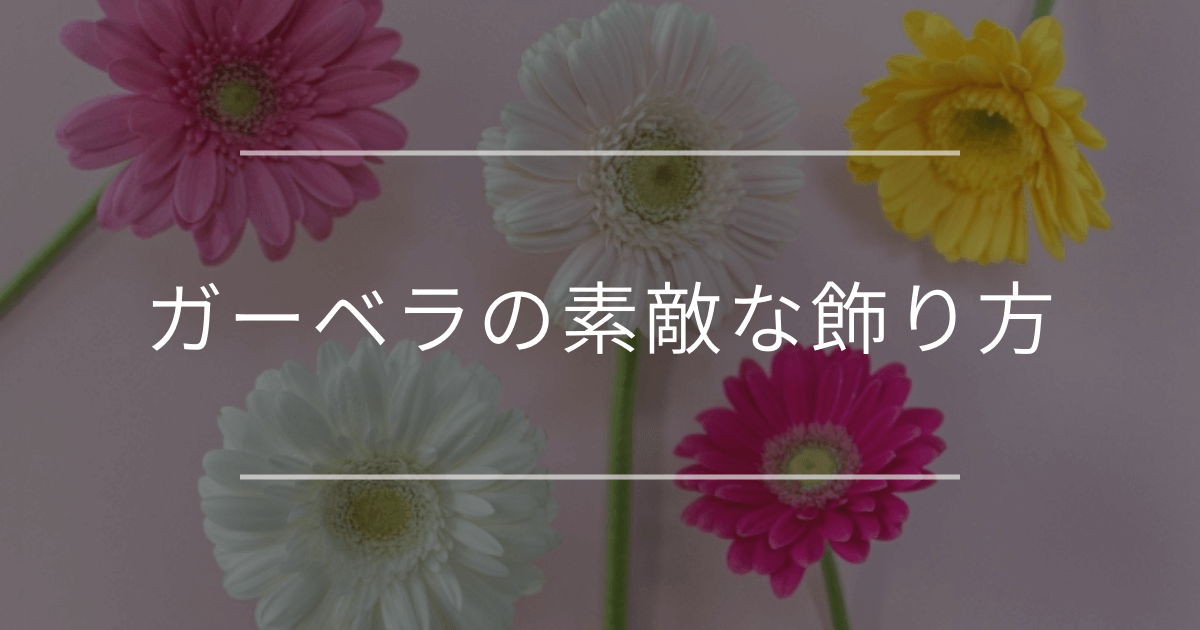 ガーベラの素敵な飾り方｜長持ちさせる方法もご紹介
