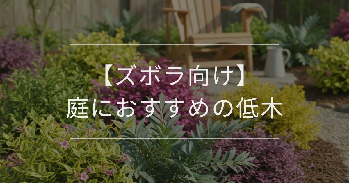 【ズボラ向け】庭におすすめの低木｜失敗しない選び方も解説