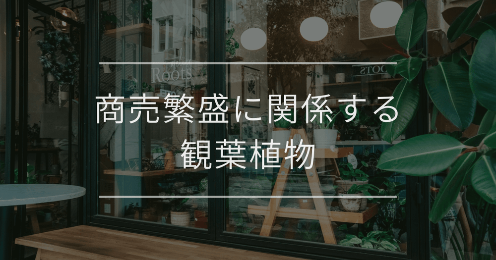 売上アップを叶える観葉植物とは？商売繁盛の風水効果をプロが伝授