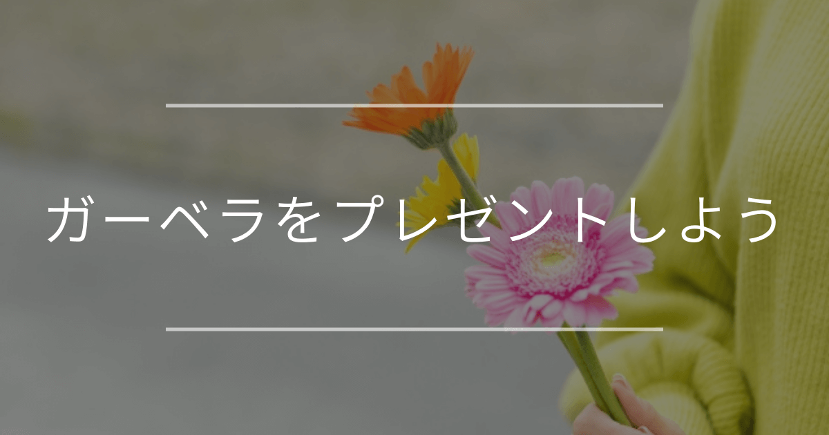 ガーベラをプレゼントしよう｜種類やプレゼントにピッタリなシーンもご紹介
