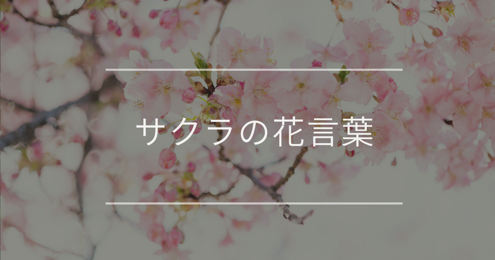 サクラの花言葉｜品種別の花言葉や誕生花、名前の由来