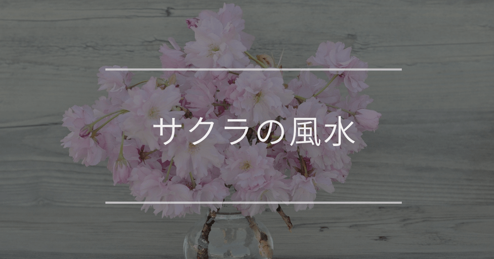 サクラの風水｜置き場所や飾り方について