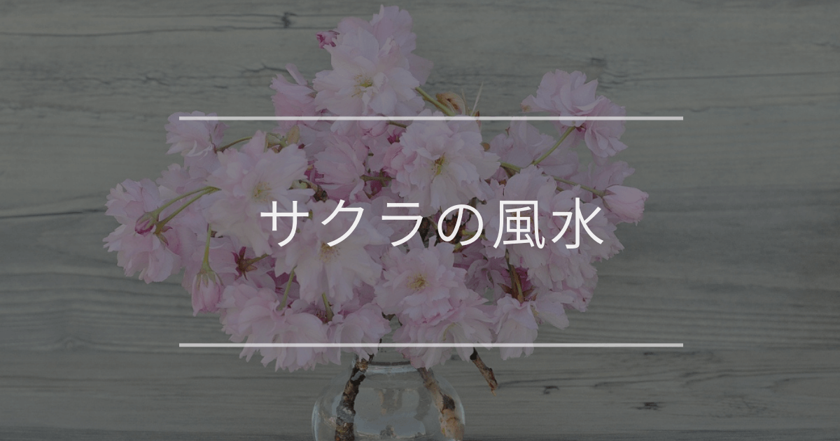 サクラの風水｜置き場所や飾り方について