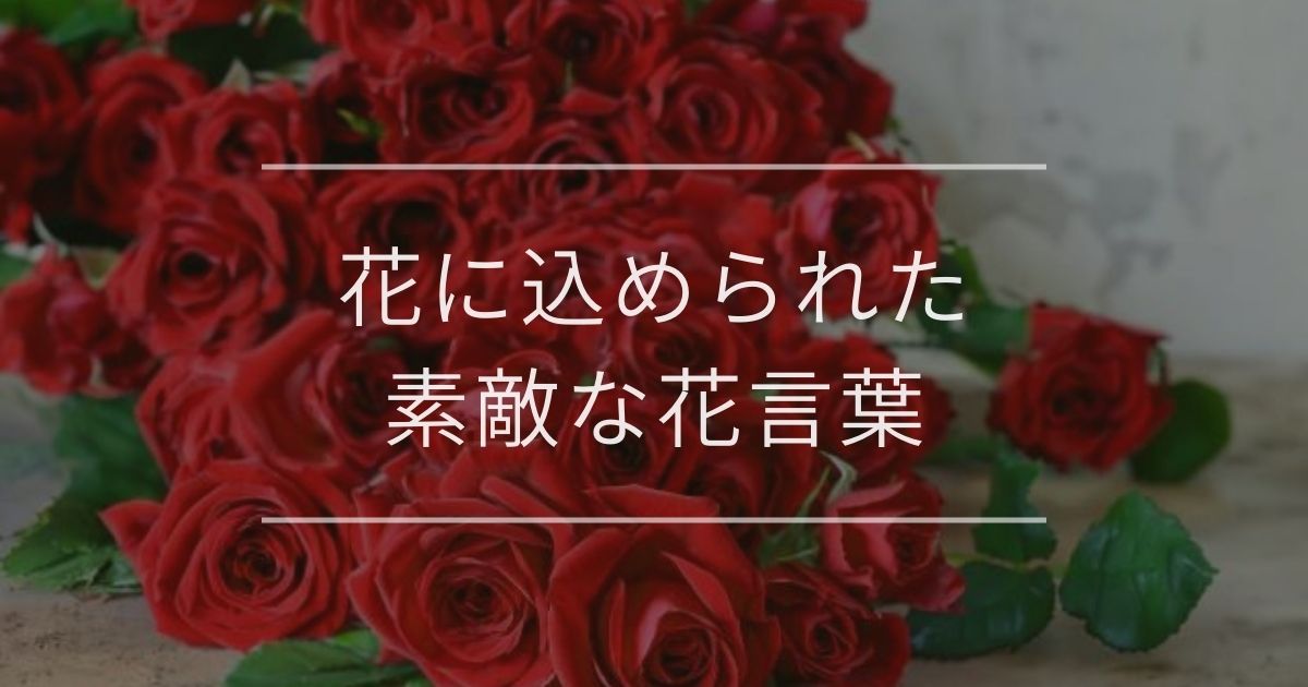 花に込められた素敵な花言葉で特別な気持ちを伝えよう