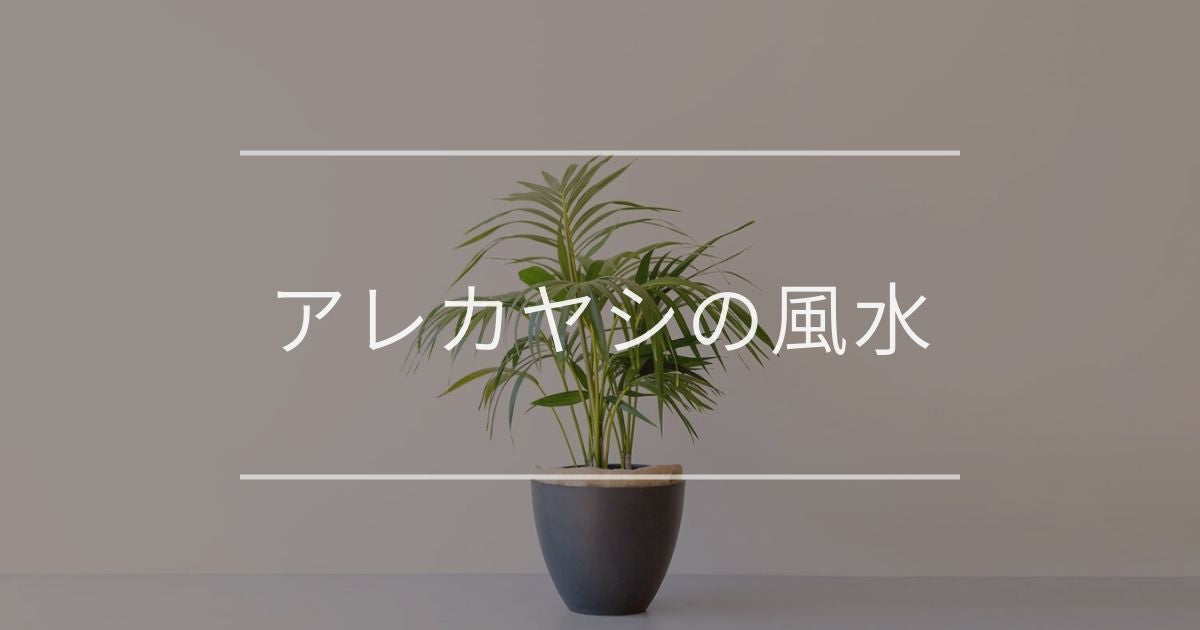 アレカヤシの風水