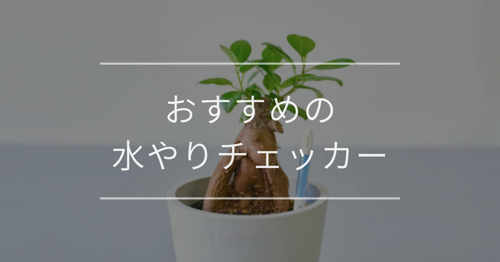 おすすめの水やりチェッカー｜選び方や種類