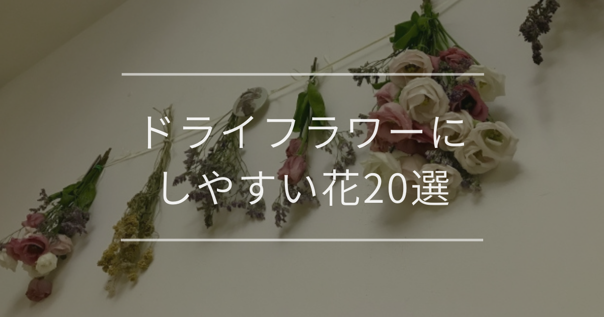 ドライフラワーにしやすい花20選｜作り方や飾り方も解説
