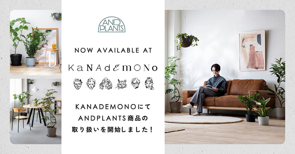 KANADEMONOでAND PLANTSの植物の取り扱いが開始
