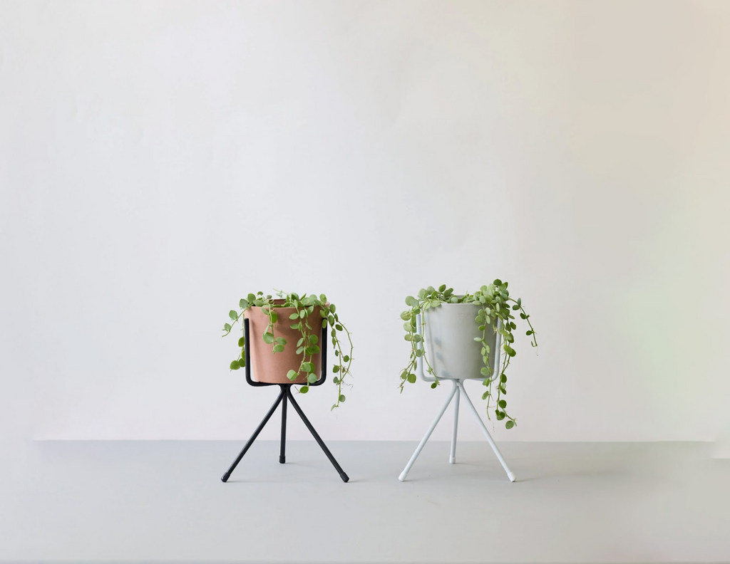 ディスキディア 4号