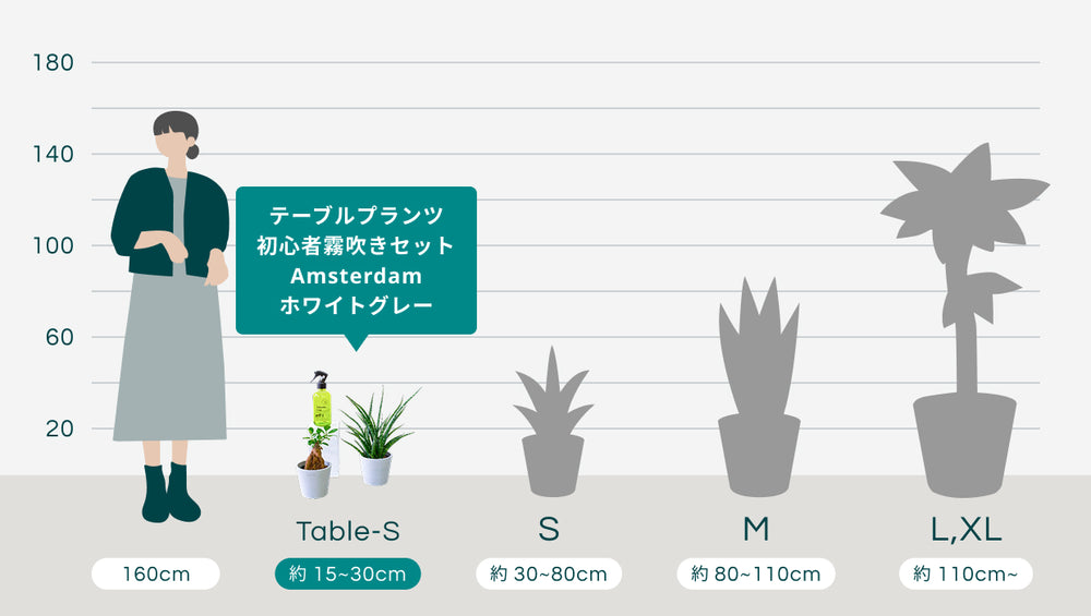 テーブルプランツ 初心者霧吹きセット Amsterdam ホワイトグレー　のサイズ
